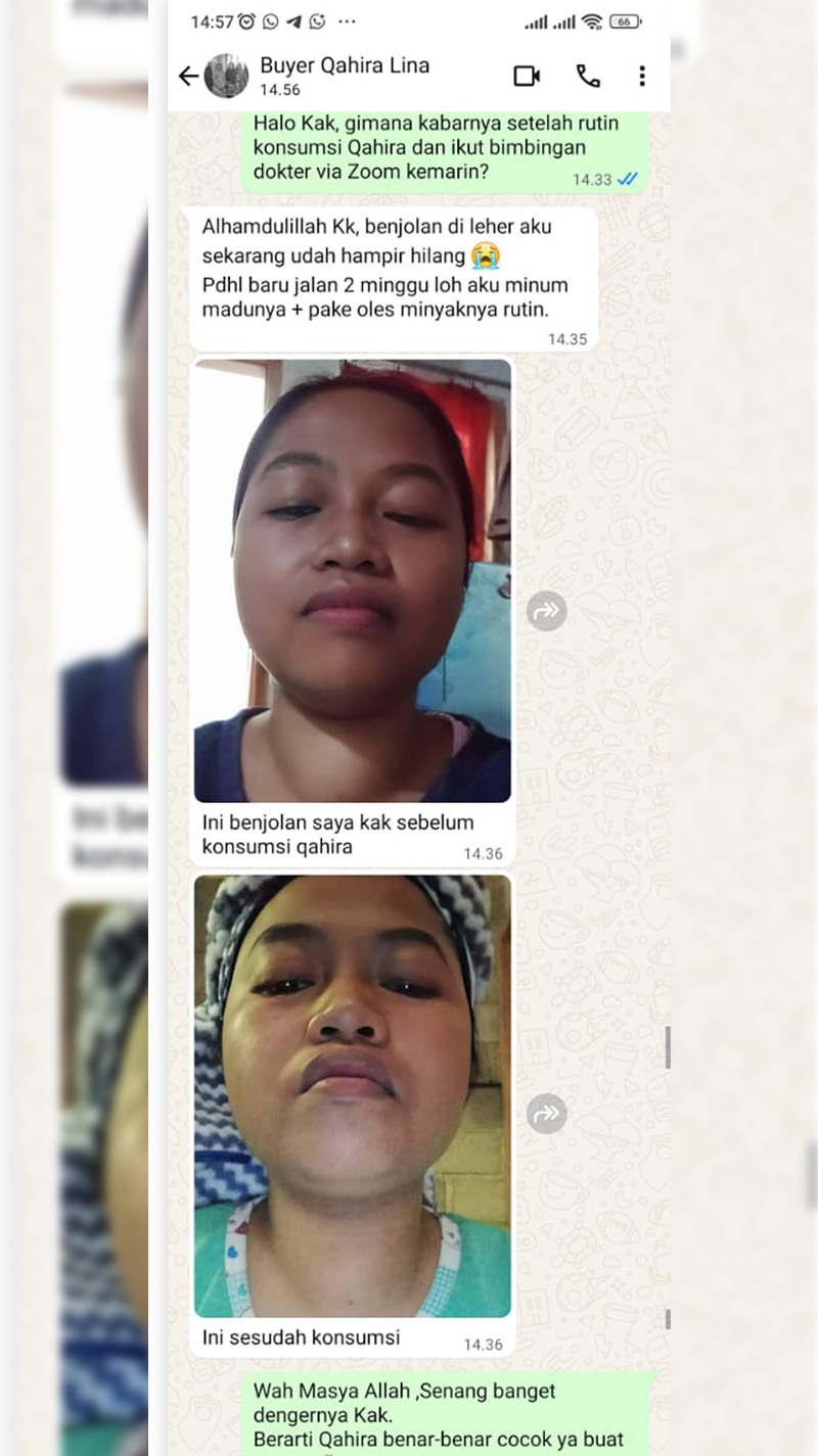 testi-wa-10.webp