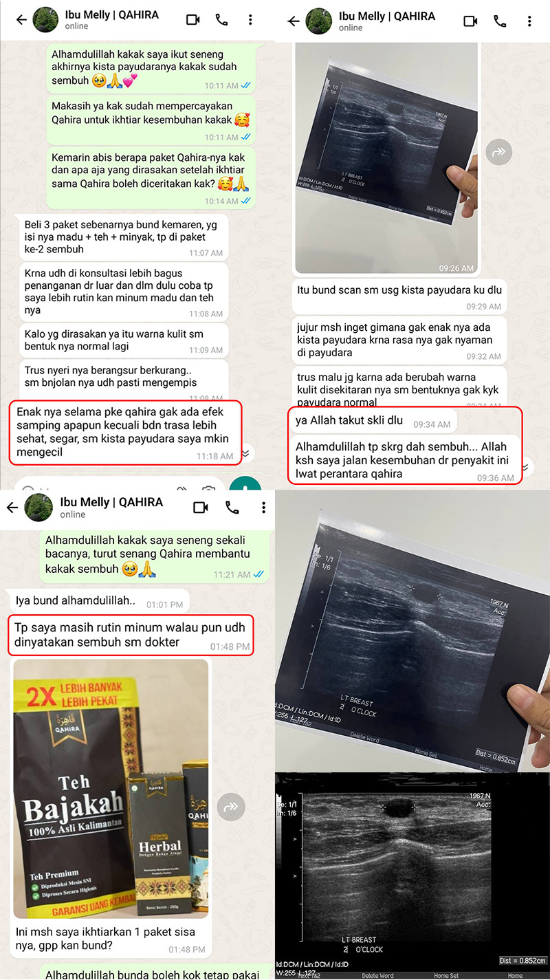 testi-wa-3.webp