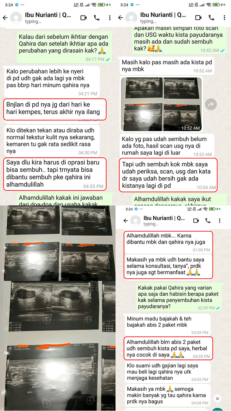testi-wa-4.webp