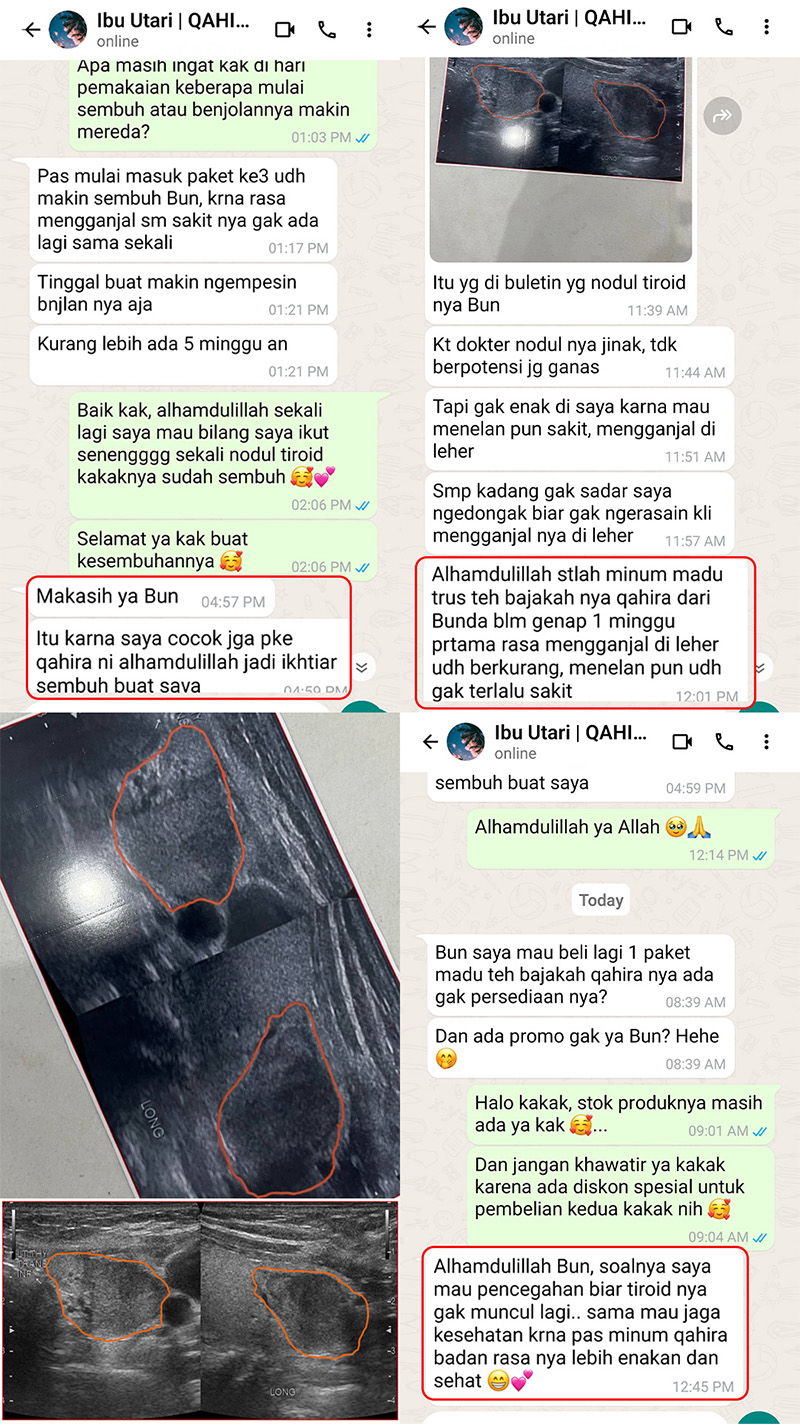 testi-wa-5.webp