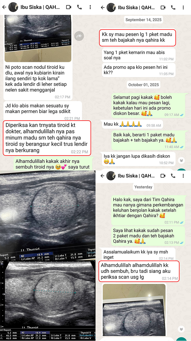 testi-wa-6.webp